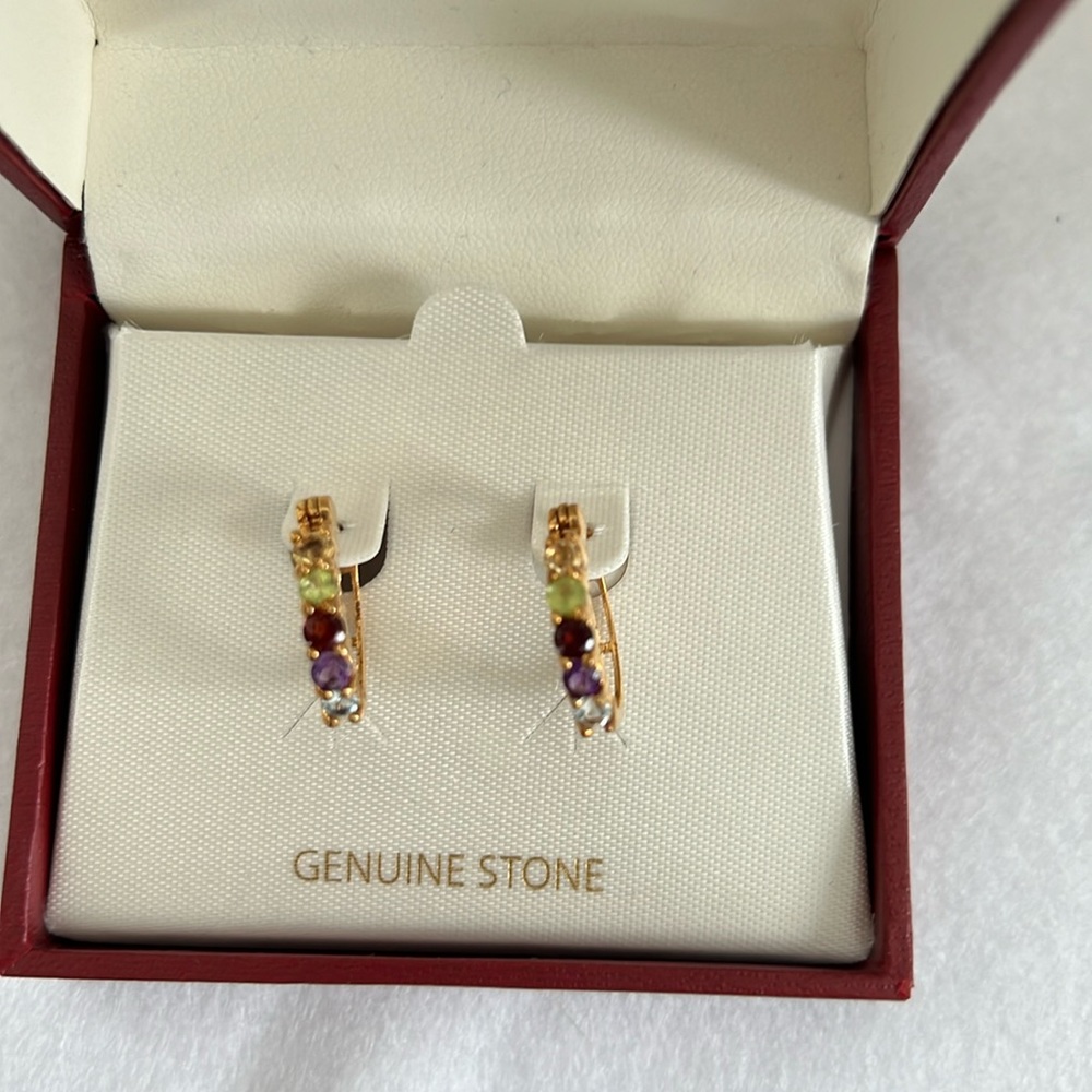 Mini-Hoop Genuine Stone Earrings. NWT
